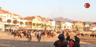 Más de 300 caballos toman la playa de Panxón