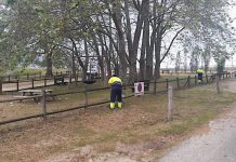 Baiona contratará a 13 persoas desempregadas a través da Deputación