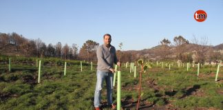 El monte de Chandebrito se recupera de la tragedia