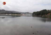 Nigrán celebra el Día Mundial de los Humedales con una observación ornitológica en A Foz