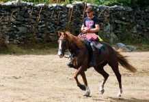 Xuntanza Cabalar en Vincios