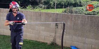 El GES de O Val Milor retira una culebra bastarda del jardín de una vivienda en Parada