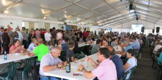 A Guarda supera las 3.000 raciones de pez espada en la fiesta organizada por Orpagu