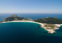 cies