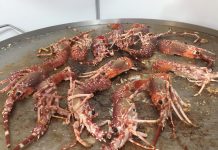 Vigo celebra la XVIII edición de la «Festa do Marisco»