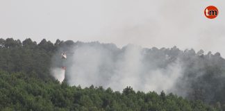 Incendio forestal en Baredo