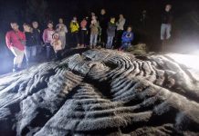 Tomiño echa la vista a su pasado en la I Xornada de arqueoloxía do Baixo Miño