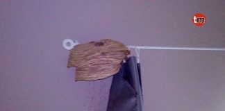 Pasan unos días fuera y al regresar encuentran un nido de avispa dentro de su casa en Tomiño