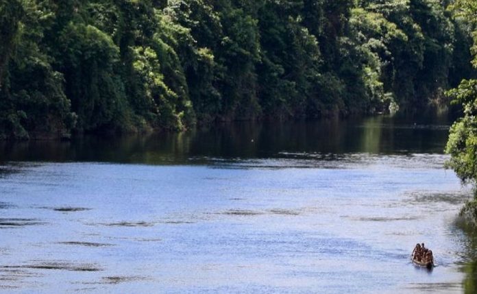 raices_celtas_amazonia_venezolana