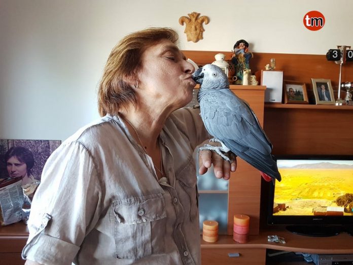 baco_loro_yaco_cola_gris_ya_esta_casa_belesar Baco ya esta en casa