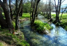 Andaina informativa, lúdica e reivindicativa pola beira do Río Miñor