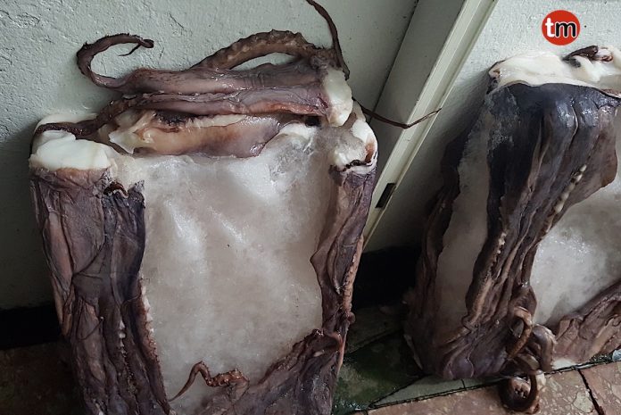 Estafan a un empresario de Nigrán 1.380 euros al que vendieron hielo en vez de pulpo