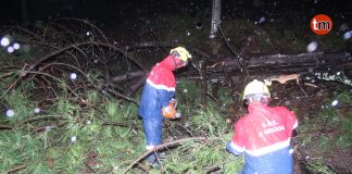 La borrasca Beatriz deja vientos de más de 90 km/h, lluvias intensas y árboles caídos