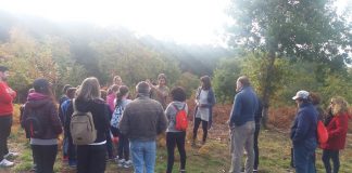 Rexeneración Forestal Autóctona Val Miñor