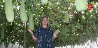 Gondomar produce las esponjas más saludables del mundo