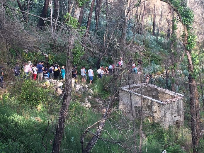 Nigrán albergará el primer parque forestal de O Val Miñor