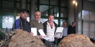 Reconocen la labor de tres apicultores de Nigrán en la lucha contra la “Avispa Velutina”
