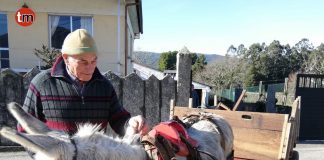 Una tierna amistad entre “Platero” y Severino