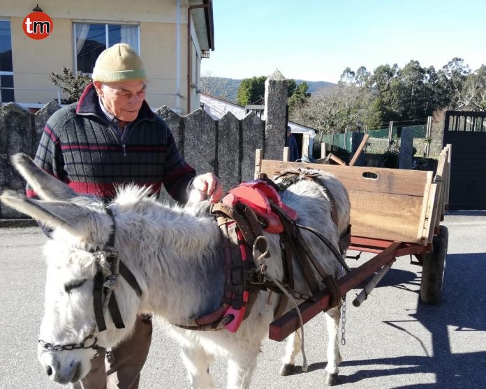 burro_gioan Una tierna amistad entre “Platero” y Severino