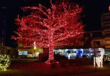 Gondomar fue elegida por los ciudadanos como la mejor iluminación de O Val Miñor, seguida de Baiona y Nigrán en la encuesta que Telemariñas realizó del 6 al 13 de enero. De los 7.630 votos registrados en los siete días que duró la votación, la villa Condal recibió un 74,8 %, es decir, 5.680 votos. La segunda clasificada, Baiona, obtuvo el 14,9 %, con 1.113 votos, mientras que Nigrán logró el 10,3 % y 800 votos. Sólo el primer día de votación, Gondomar ya recibía más de 500 votos frente a los 80 de Baiona y a los 30 de Nigrán.