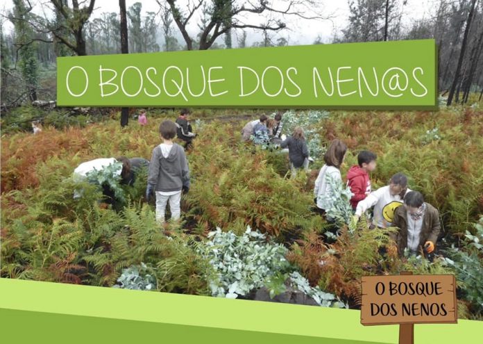 A Comunidad de Montes de Vincios crea “O Bosque dos nen@s”