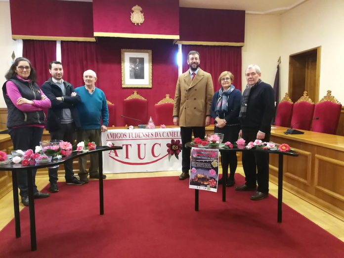 Mas de 80 expositores participarán en la IV Mostra da Camelia Ciudade de Tui