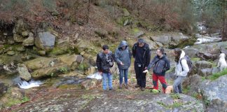 Estudan a elaboración dunha réplica do petróglifo Auga dos Cebros de Pedornes