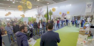 Consulvin Consultores Vitivinícolas aproveitou o espazo acuBam Innovación para presentar á startup biotecnolóxica Nostoc Biotec, que fabrica e vende produtos microbiolóxicos para resolver as principais necesidades do sector agrícola dun xeito ecolóxico e sostible, como o control e a eliminación de pragas. Un proxecto que parte da base de que “do natural ten que vir a solución” aos problemas do campo. Kiwi Atlántico ensinou ao público o seu sistema de clasificación do kiwi segundo a calidade interna mediante tecnoloxía óptica penetrante e non destrutiva, que permite agrupar a froita dun xeito homoxéneo e marcar uns estándares de calidade máis elevados. Entre a maquinaria, Talleres El Milagro presentou a primeira motoserra de inxección electrónica, cun deseño lixeiro e intelixente que garante un traballo ergonómico e sen esforzo. Unha das principais innovacións presentadas na Mostra foi o método HYBRID-TREE, desenvolvido por Vivisa e presentado por Suministros&Instalaciones Río Verde, que permite o cultivo hidropónico de plantas plurianuais de porte leñoso. A primeira explotación piloto deste sistema instalarase en Tomiño. Por outro lado, VemarGalicia ensinou na Mostra Fliwer, o primeiro sistema de rego intelixente, que se centra na planta e nas súas necesidades que envía datos a un servidor para que mediante intelixencia artificial decida se as tarefas de rego son necesarias. A “integración dunha agricultura de precisión na que somos capaces de combinar a información que nos proporcionan as novas tecnoloxías co desenvolvemento dos nosos cultivos”. A xardinería vertical, unha nova tendencia Decora, proporciona osíxeno, elimina a contaminación ambiental... e non precisa grandes espazos. Todas estas vantaxes son as que fan da xardinería vertical unha nova tendencia de mercado e un niño de oportunidades e as que lle aseguraron un oco na 16ª Mostra de Cultivos. Víctor Pérez, presidente de Agaexar, e Gonzalo Fonseca, delegado comercial de Projar Group, foron os encargados de falar destas novas solucións, así como das funcións do solo para as plantas e como afecta a este modelo vertical, de erros habituais, de exemplos de éxito e do dimensionamento do mercado.