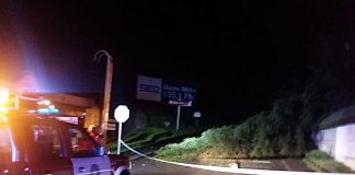 El temporal deja árboles caídos y daños en el pabellón de Panxón y en una casa de Nigrán