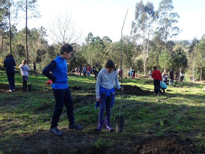 Estudiantes del CEP Pedro Caselles plantan árboles autóctonos en los montes de Tomiño