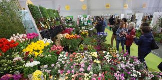 A Mostra de Cultivos do Baixo Miño rexistra cifras de récord