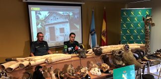 La Guardia Civil investigó más cincuenta de delitos contra el medio ambiente en Pontevedra