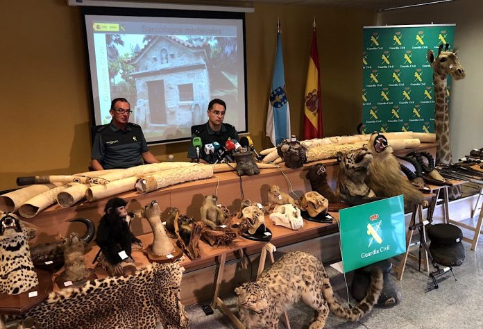 OPERACION_HIPOSACRO La Guardia Civil investigó más cincuenta de delitos contra el medio ambiente en Pontevedra