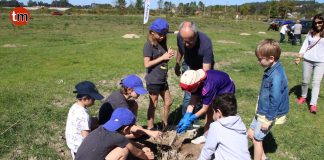 Alumnos del Arquitecto Palacios y del Juan María plantan 140 árboles autóctonas en Porto do Molle