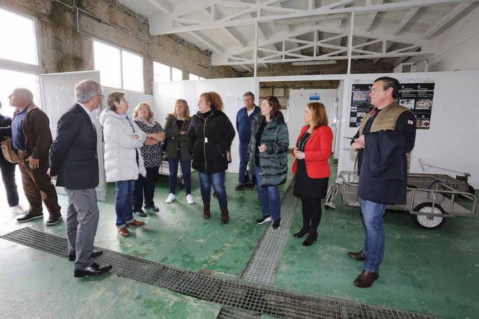 visita_conselleira_lonxa_panxon La lonja de Panxón contará con dos cámaras frigoríficas y un productor de hielo