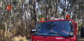 Extinguido un incendio forestal en Tomiño