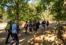 III Andaina do Maúxo contra el Cáncer en Vigo
