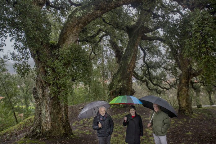 Ermida_Madalena_eiras