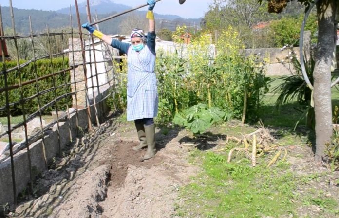 avida_tempos_coronavirus