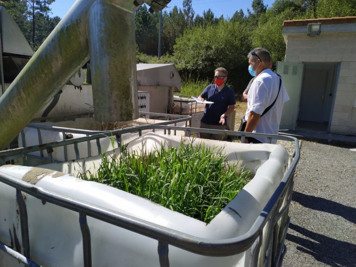 depuradora_coristanco_tomino