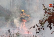 Suspenden temporalmente las quemas agrícolas y forestales por el aumento de riesgo de incendios