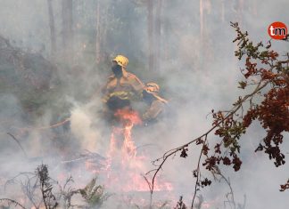 Suspenden temporalmente las quemas agrícolas y forestales por el aumento de riesgo de incendios