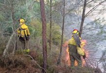 Os Bombeiros Forestais chaman a continuar a mobilización activa na rúa pola mellora dos dereitos laborais