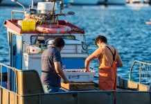 Charlas ao alumnado de Secundaria de Nigrán e Baiona sobre as oportunidades laborais no sector do mar
