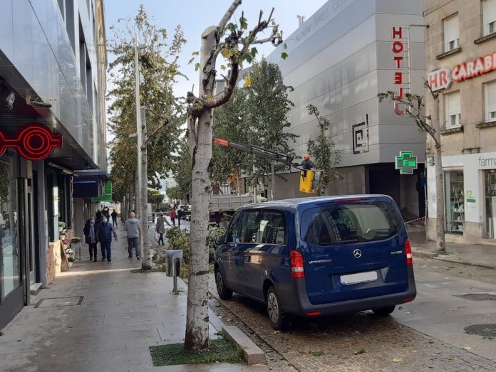 poda_arboles_baiona
