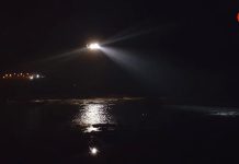 El Pesca1 rescata a un vecino de Nigrán de las aguas del puerto de transatlánticos de Vigo