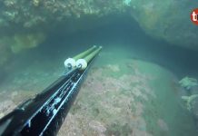 V Open Vila de Baiona de Pesca Submarina en Cabo Silleiro