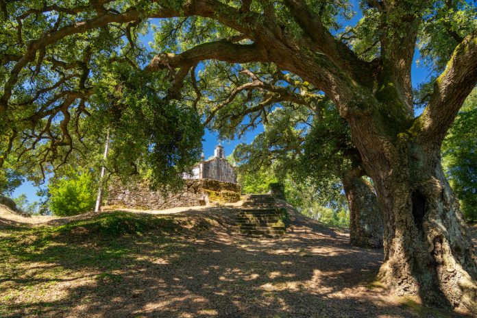 Sobreiras da Madalena