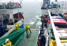 O BNG leva a pleno a ameaza da Unión Europea de pechar 87 zonas de pesca no Atlántico nororiental