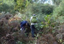 Jornada sobre los incendios forestales de la Mancomunidade de Montes do Baixo Miño